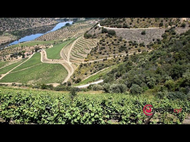 TURISMO ENTRE DUERO Y NATURALEZA EN MONCORVO Portugal